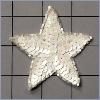 Sequin Star